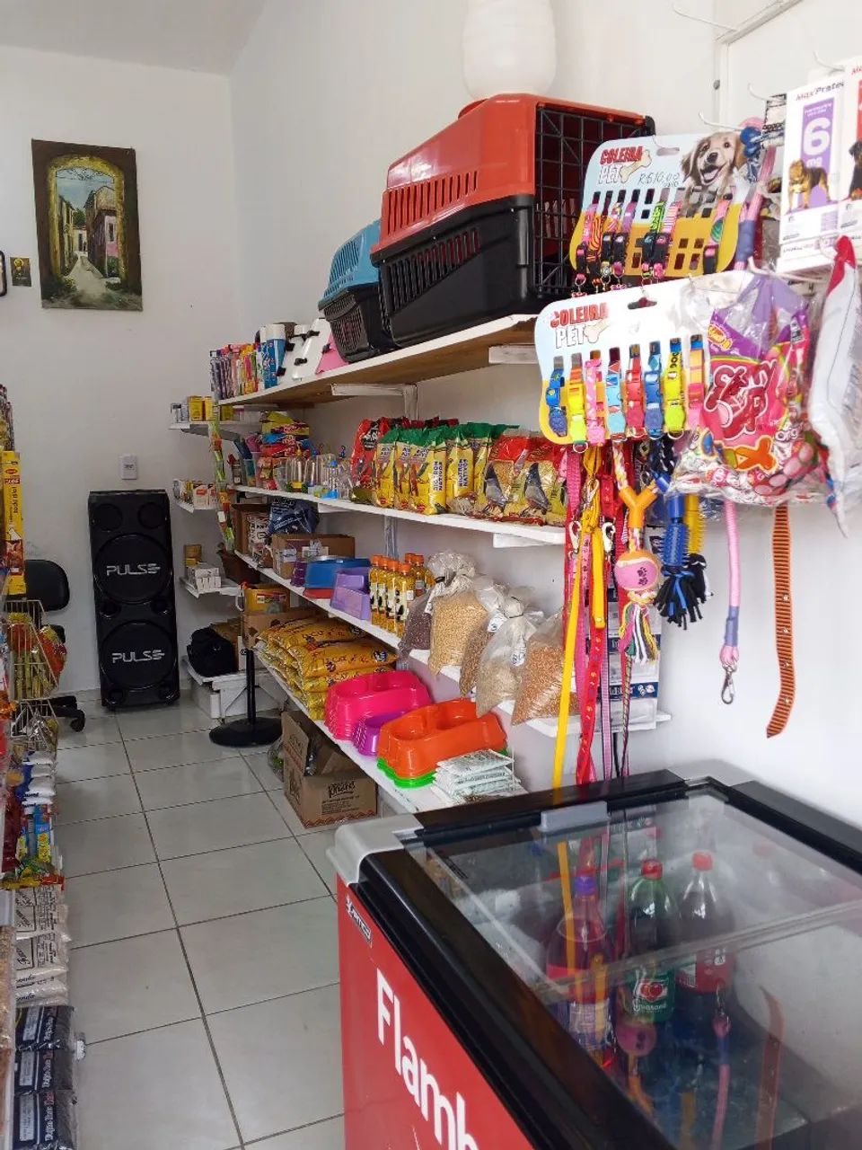 Vendo loja completa de Ração  e Mercearia  - Foto 5