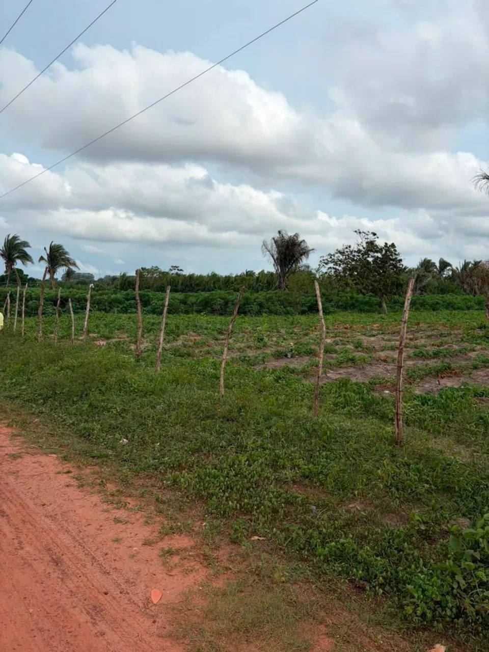 Excelente TERRENO investir  - Foto 5
