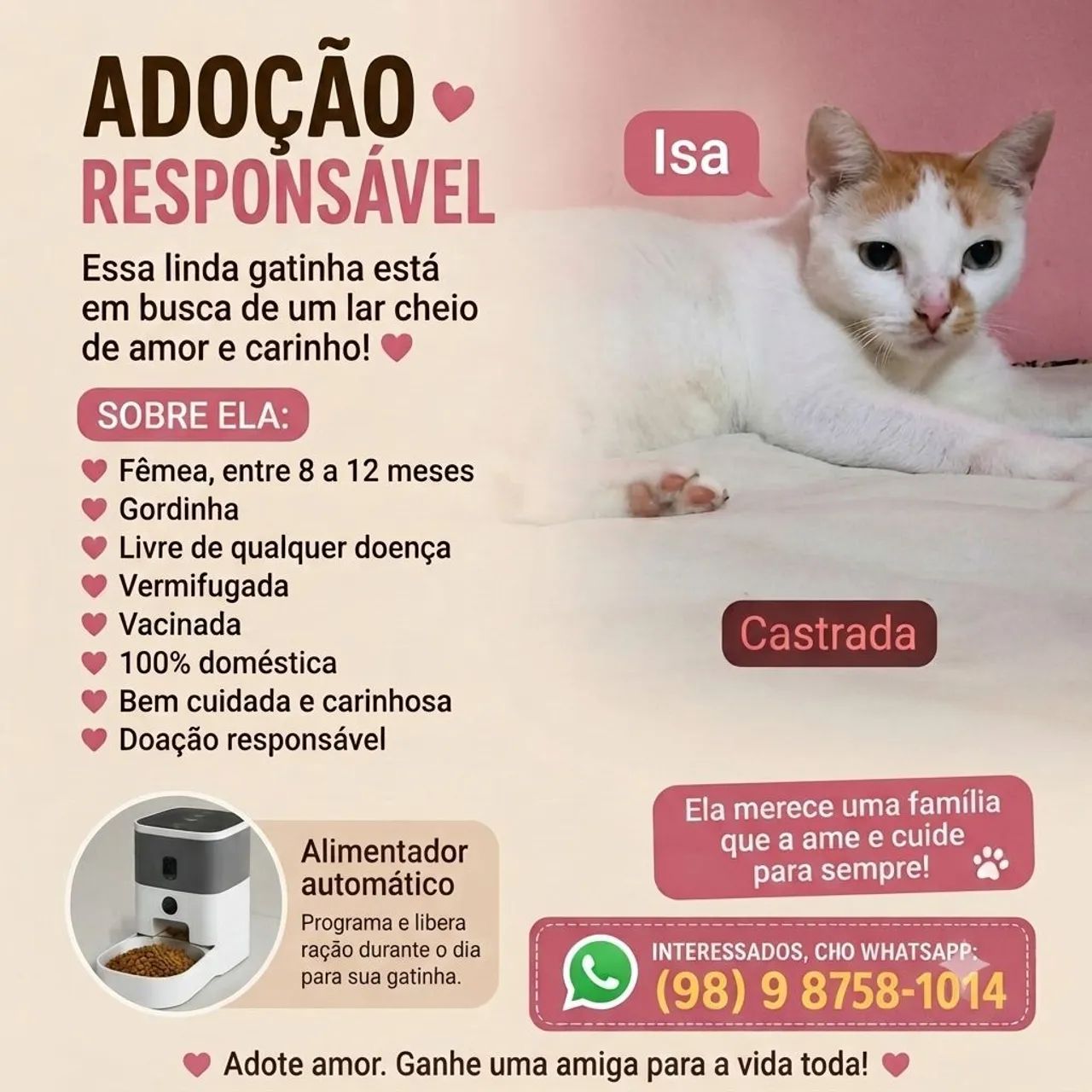 ADOÇÃO RESPONSÁVEL - CASTRADA 