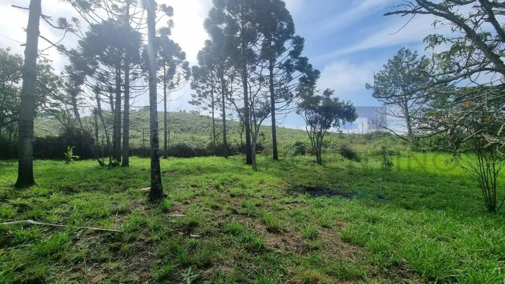 Área no Botujuru - ZOC-2 - LOUOS - Foto 5