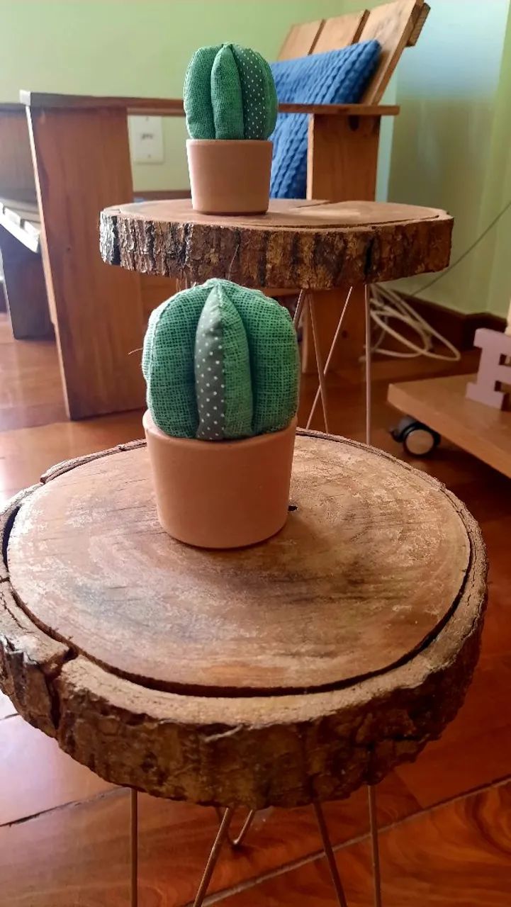 Agulheiro cacto 