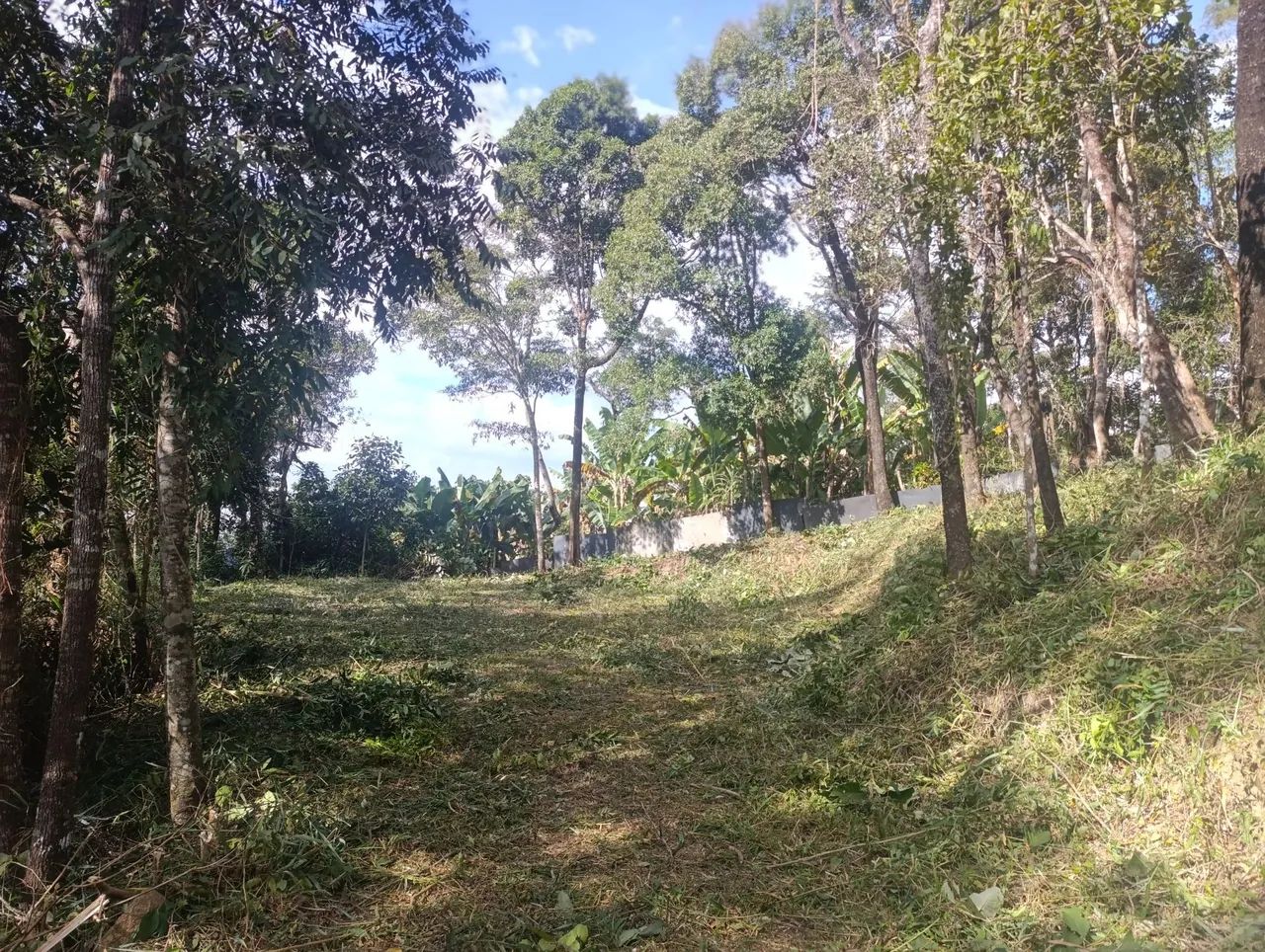 Terreno 1000 M² - Foto 4