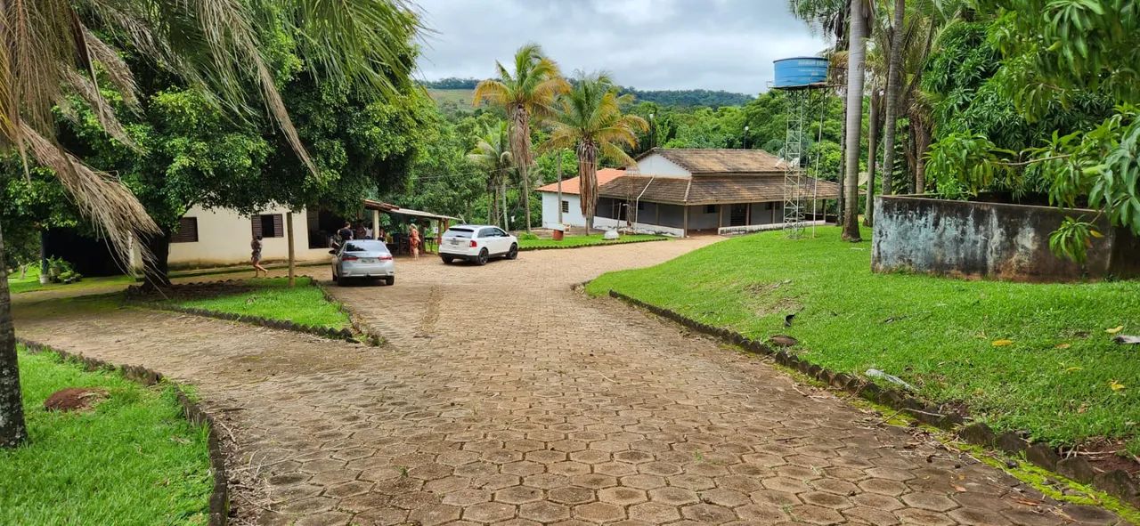 Chácara 4 alqueires em Nerópolis Go - Foto 3