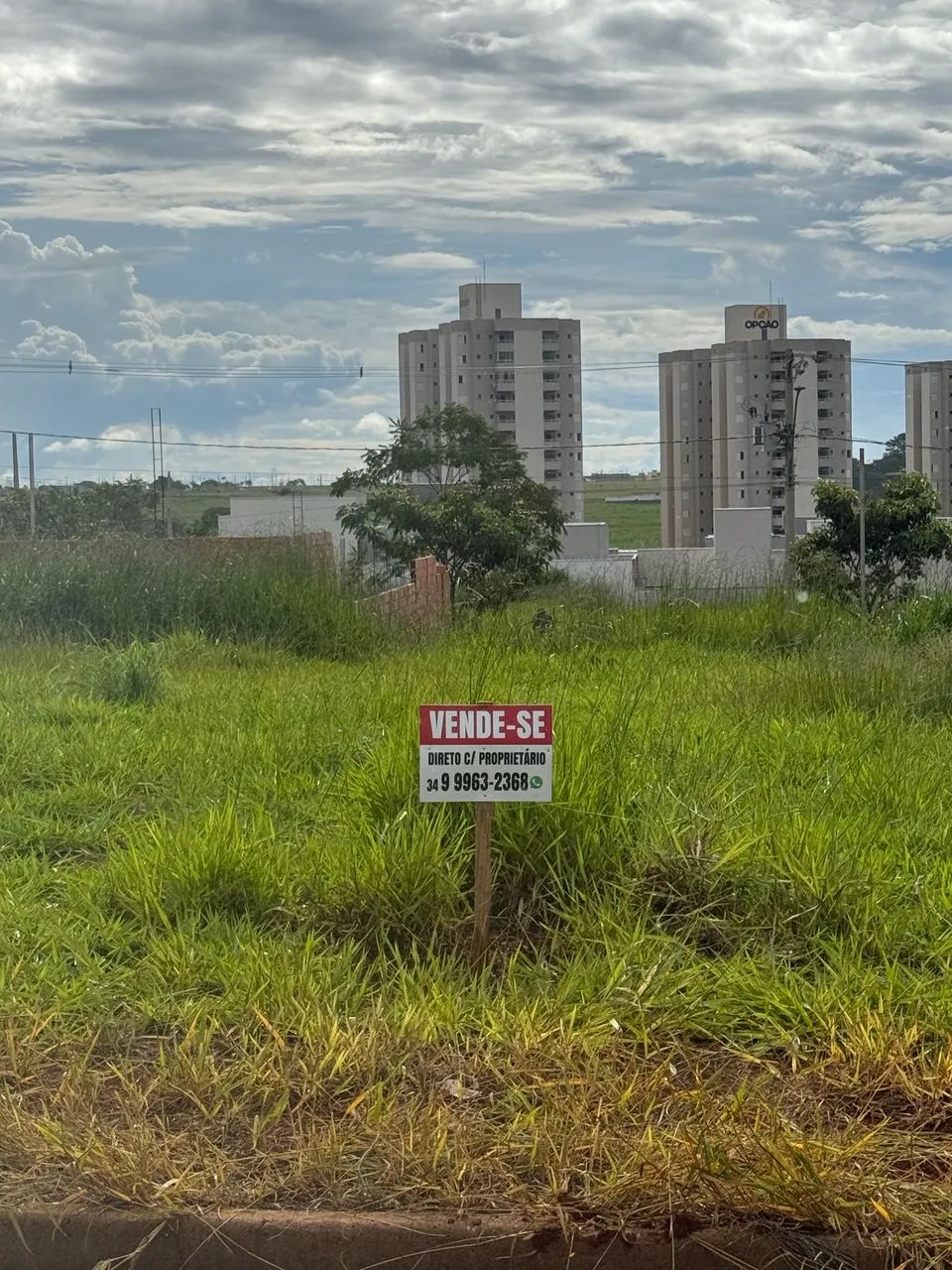 Foto - Uberlândia - Brasil