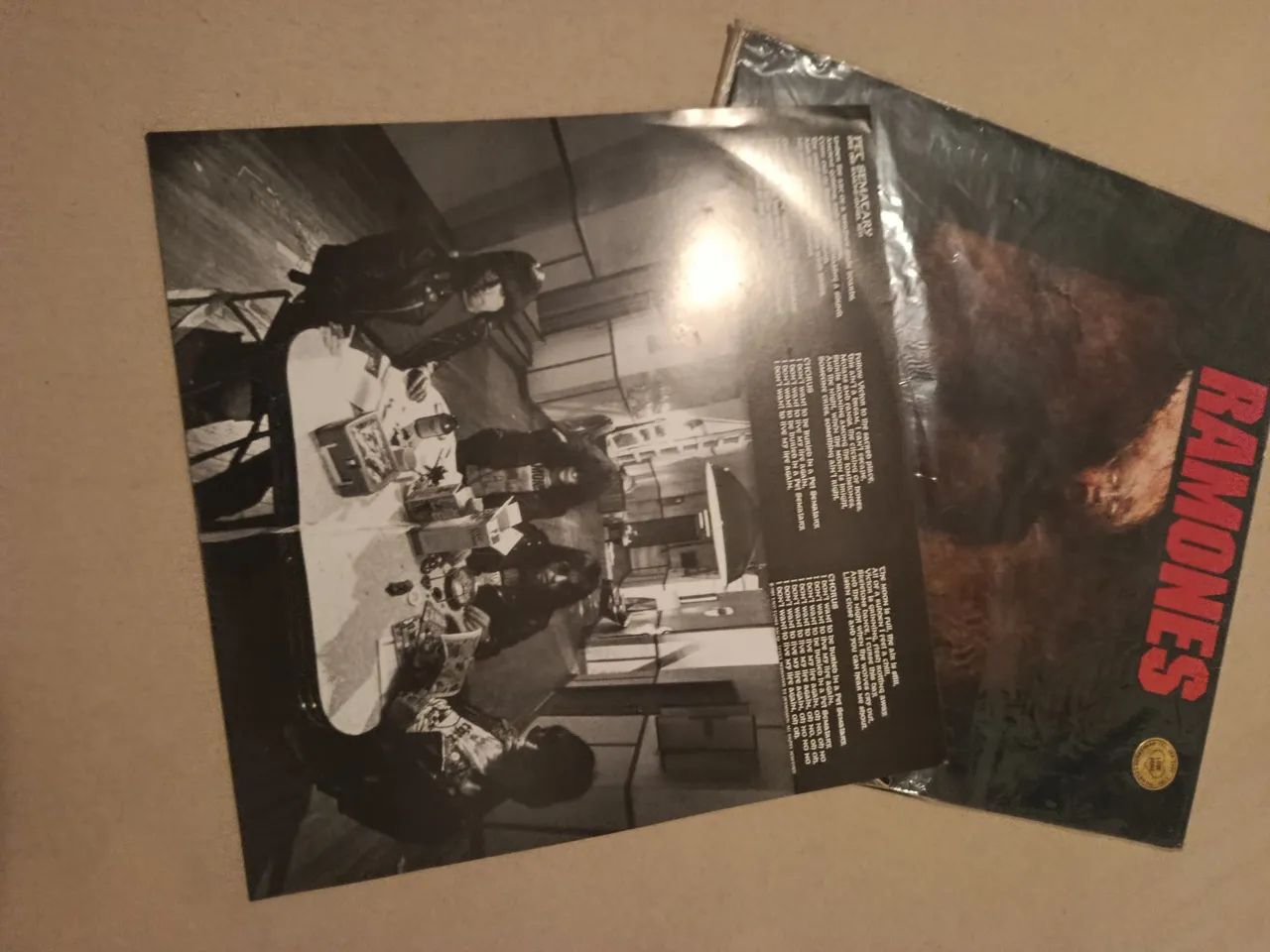 LP Ramones brain drain 65579484149250122