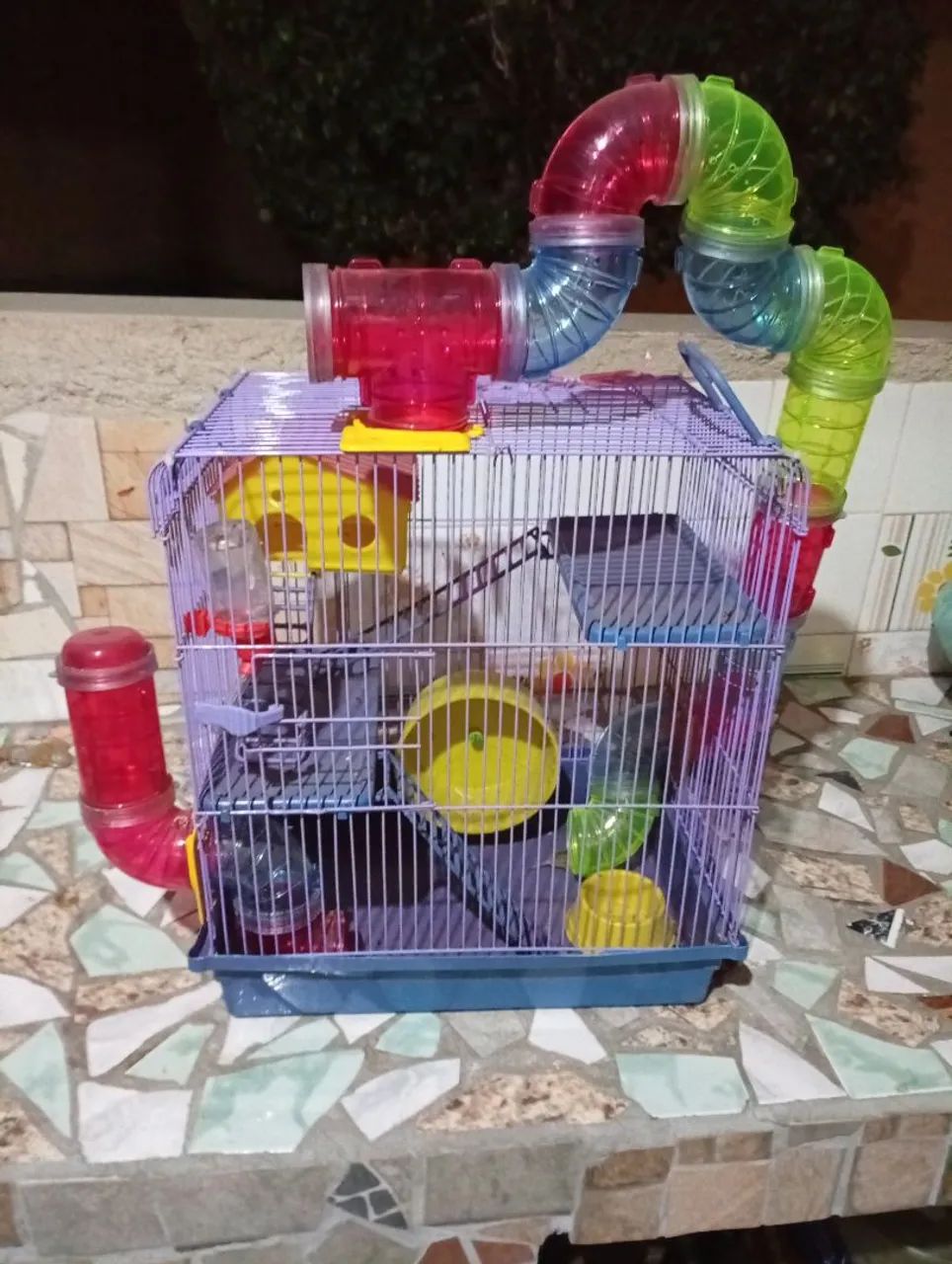 Gaiola para Ramister - Foto 2
