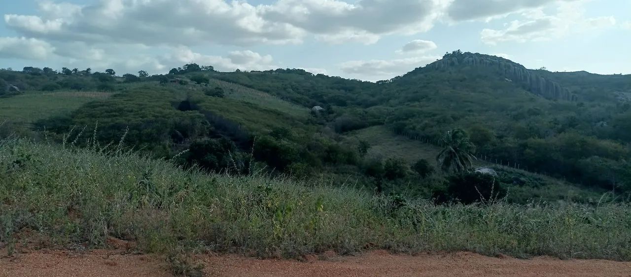 Vende-se terreno próximo à Pedra da Boca - PB - Foto 2