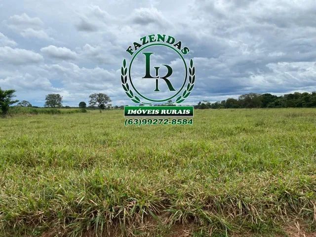 Fazenda Dupla Aptidão Tocantins Lavoura e Pecuária - Foto 2