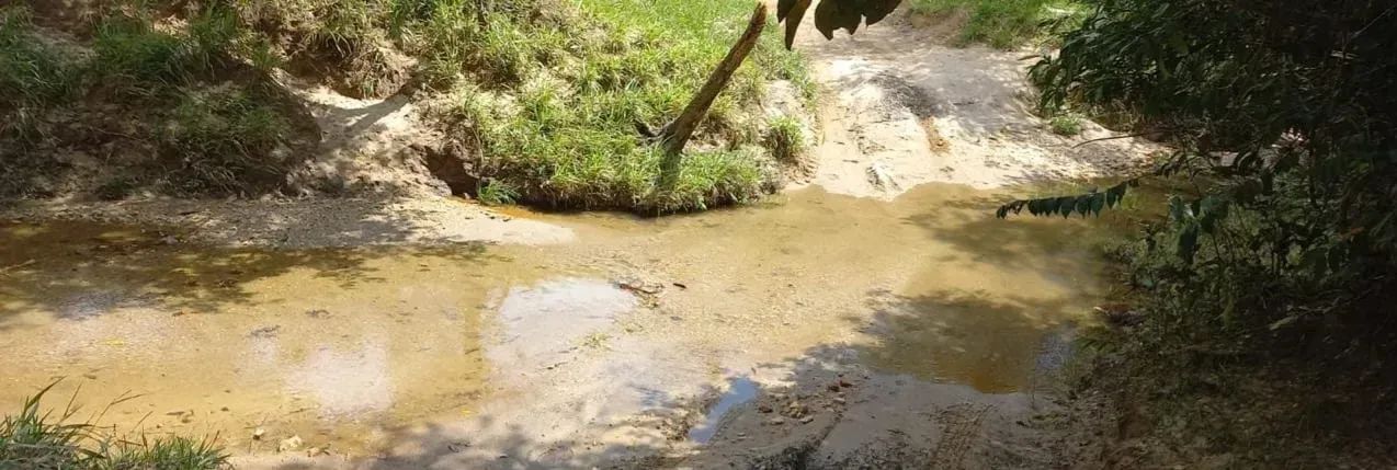 Fazenda a venda entre Catalão e Ipameri - Goiás!!! - Foto 3