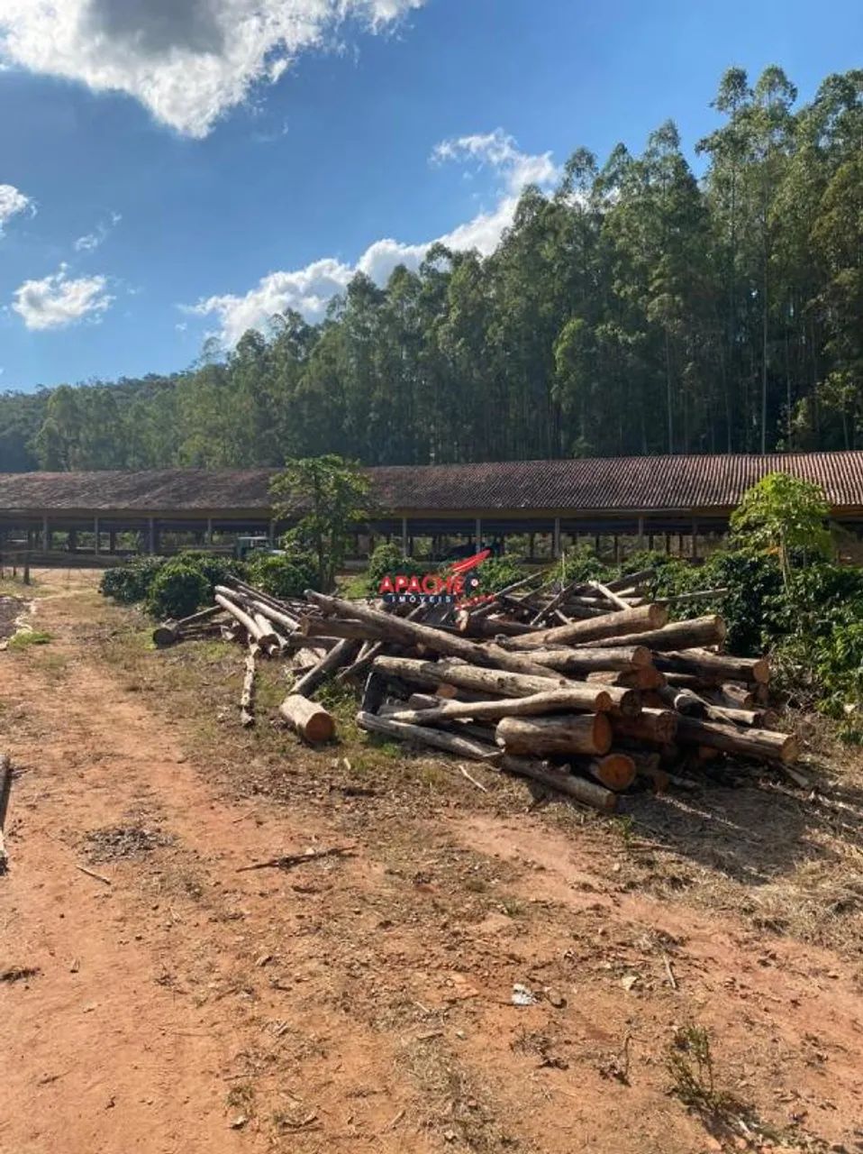 Terreno de 39,000,0 m² - Foto 4