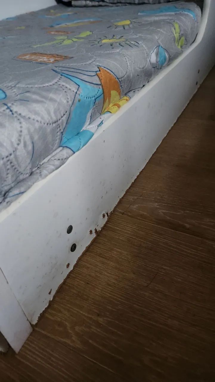 Cama montessoriana infantil - Foto 3
