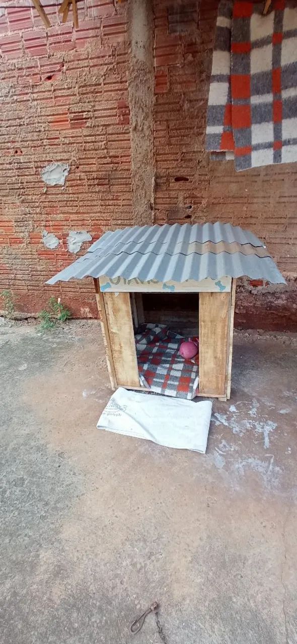 Casinha de cachorro e armário  - Foto 6