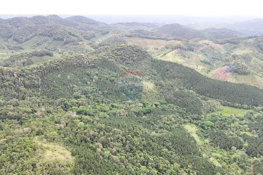 Fazenda N. Sra. de Guadalupe - Foto 3