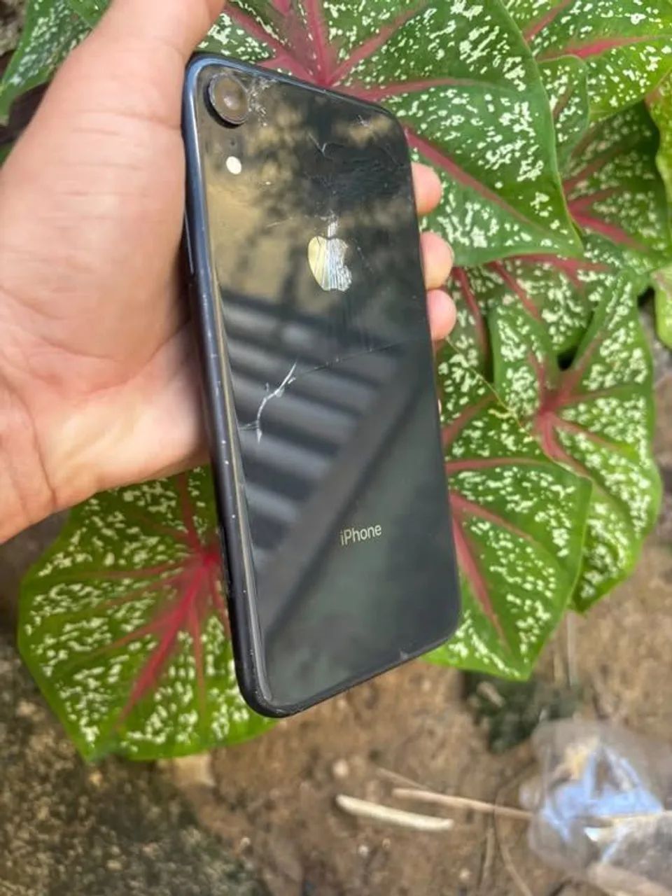 iPhone XR 256gb confira 