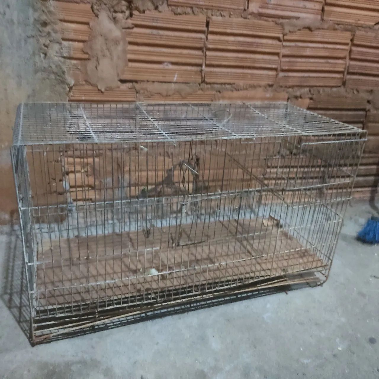 Gaiola                                                                                     - Foto 2