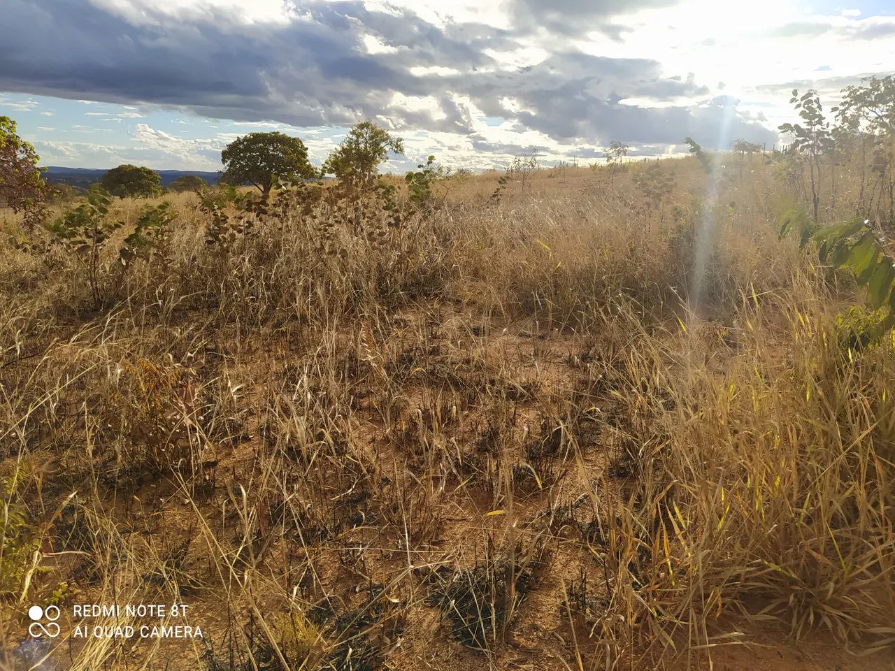 Venda  - Foto 5