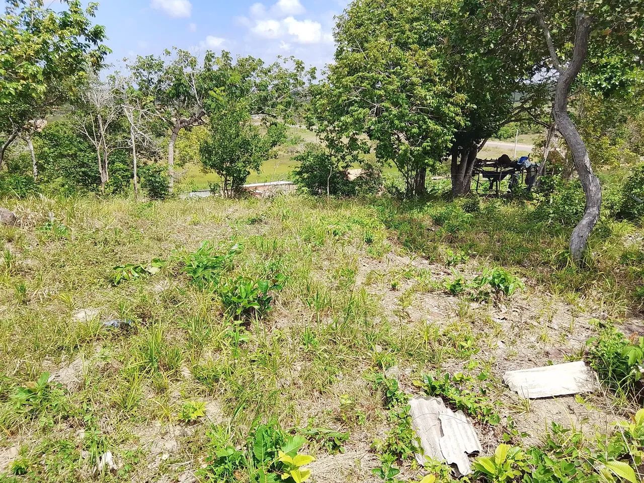 Terreno 8x20 com visão panorâmica privilegiada - Foto 4