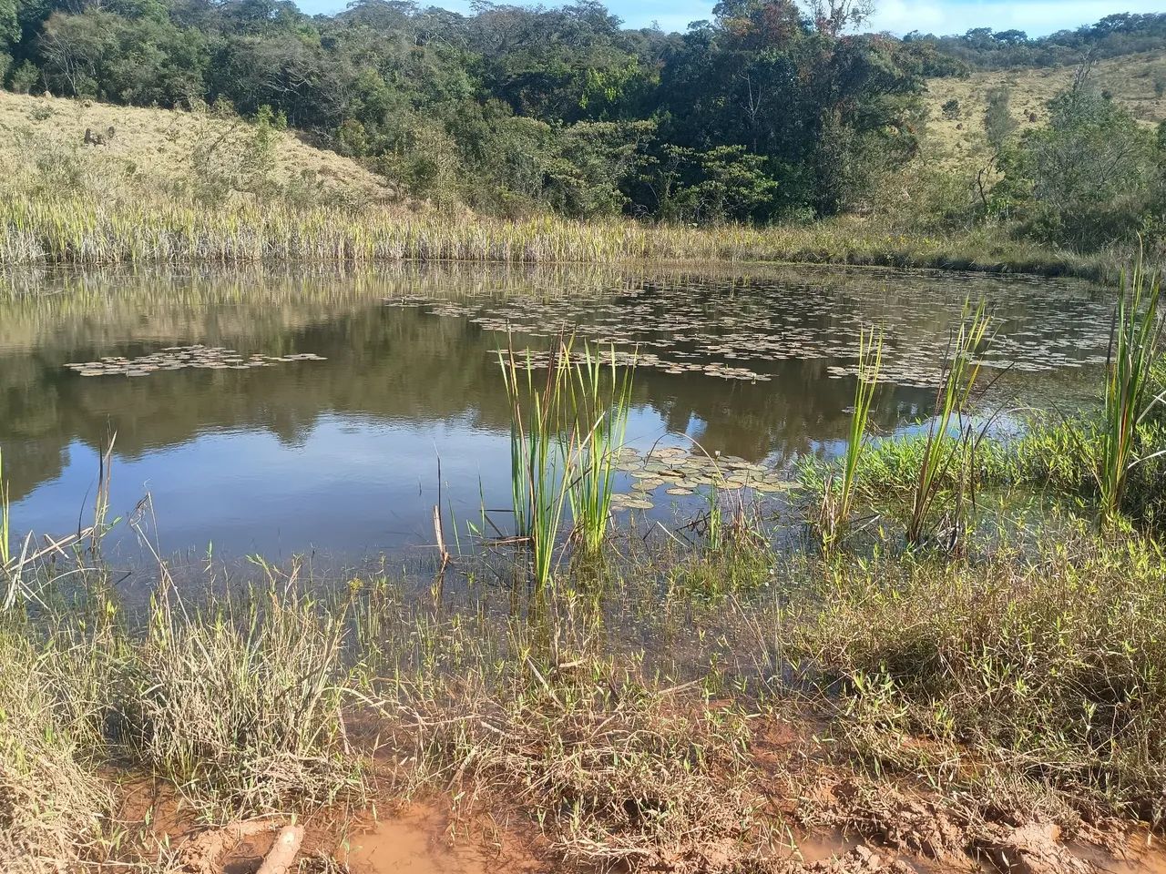 Terreno - Foto 3