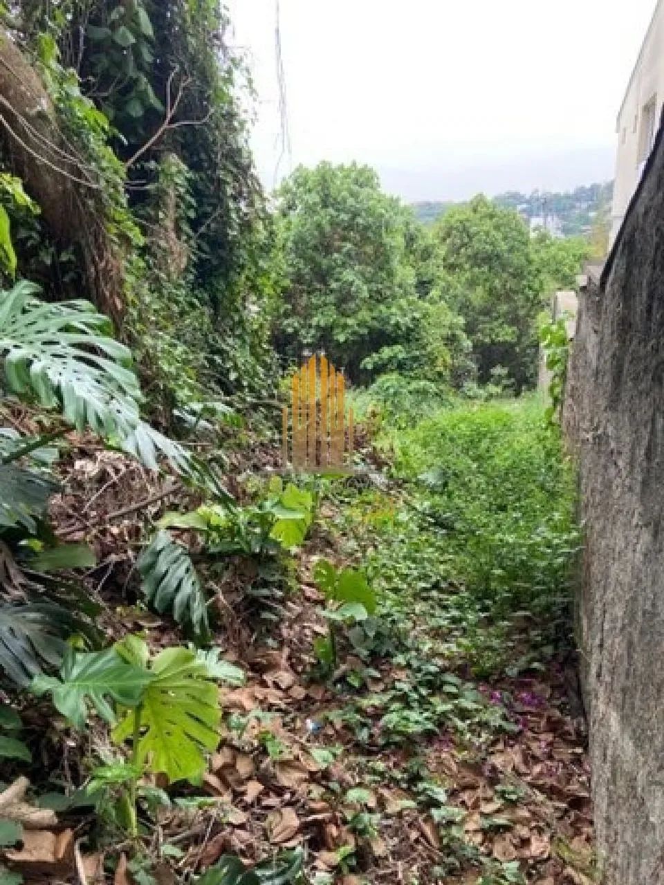 Terreno em São Paulo - Foto 4