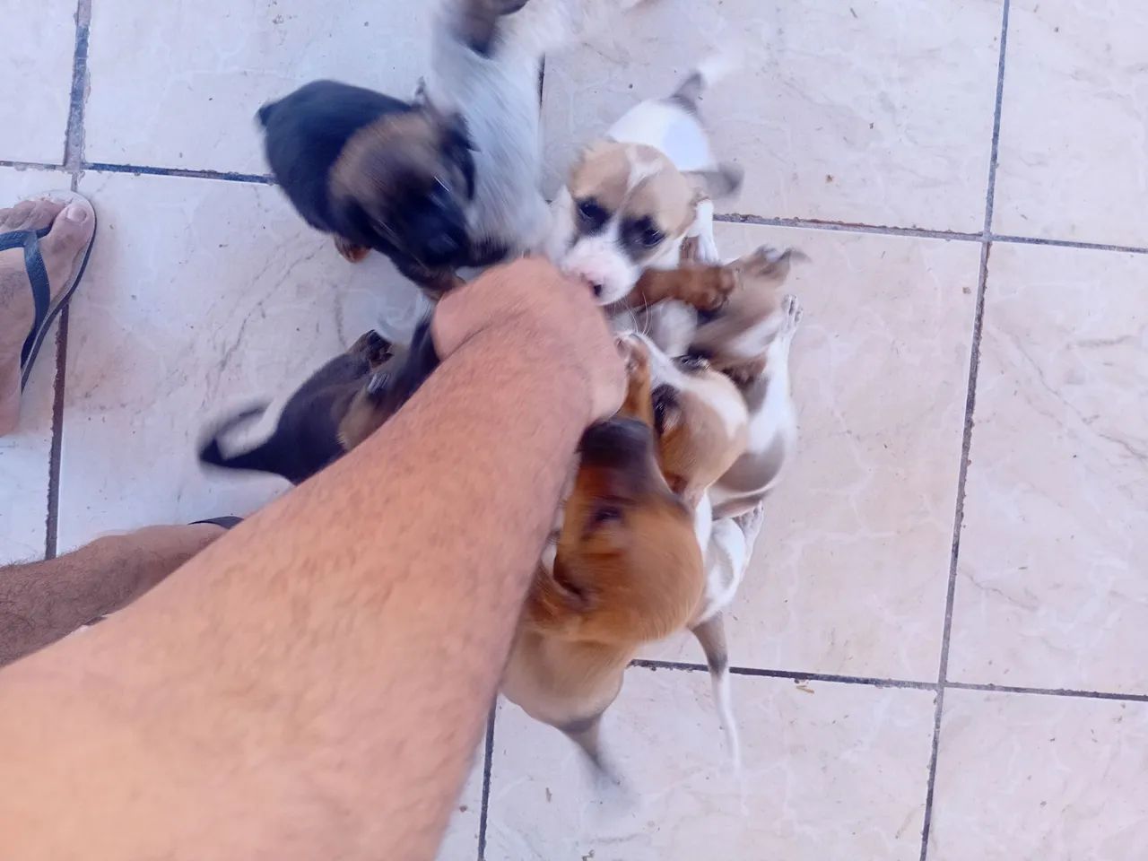 Para Doação 