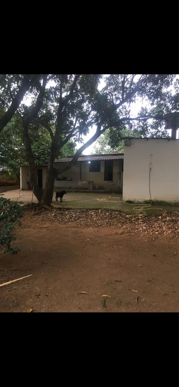 VENDO CHÁCARA  - Foto 5