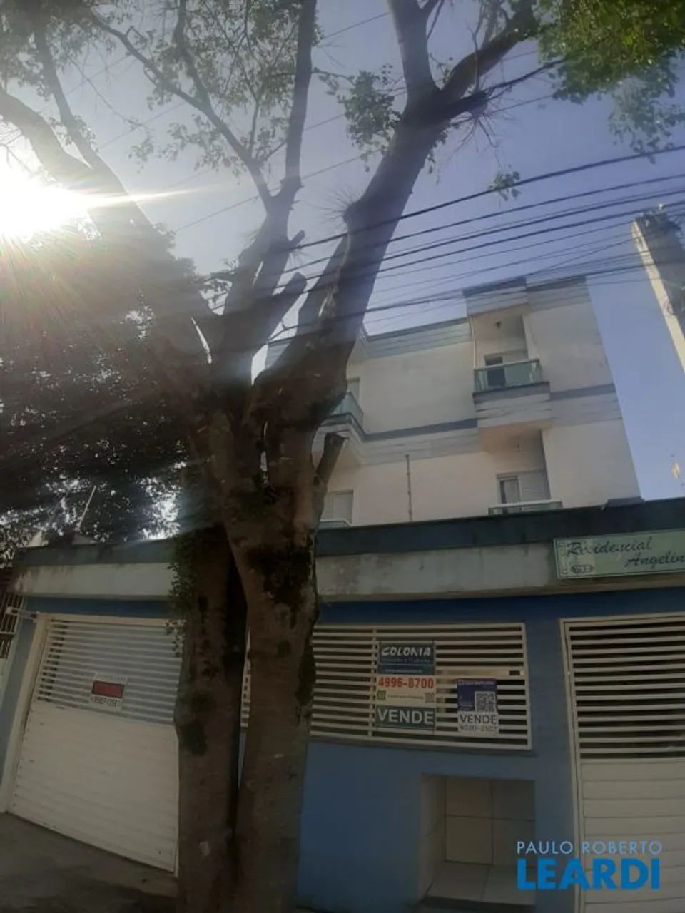 APARTAMENTO - VILA CAMILÓPOLIS - SP - Foto 2