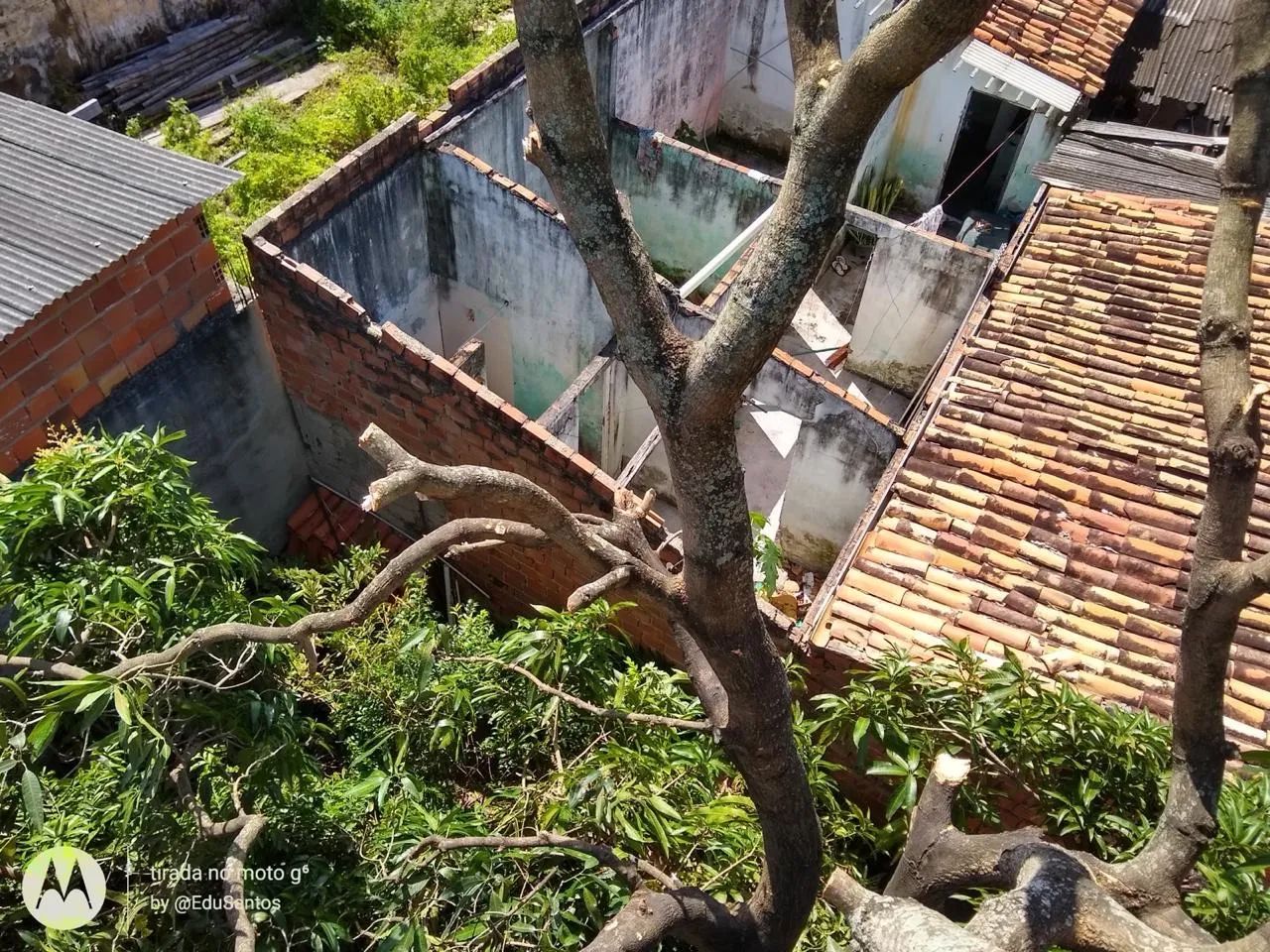 PODA DE ÁRVORES PROFISSIONAL - Foto 4