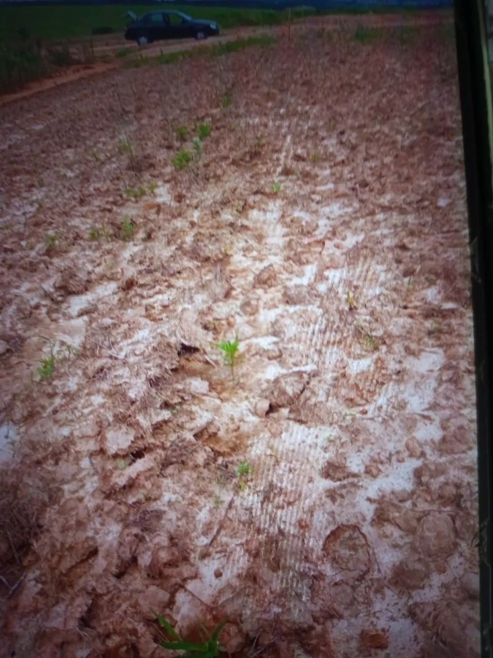 Terreno ECIVITAS Alteza