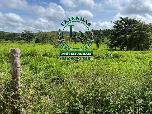 Fazenda Dupla Aptidão Tocantins Lavoura e Pecuária