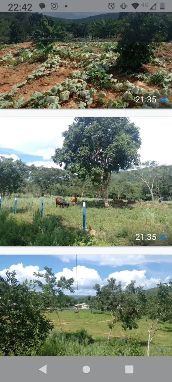 FAZENDINHA  EM BURITIS MG - Foto 2