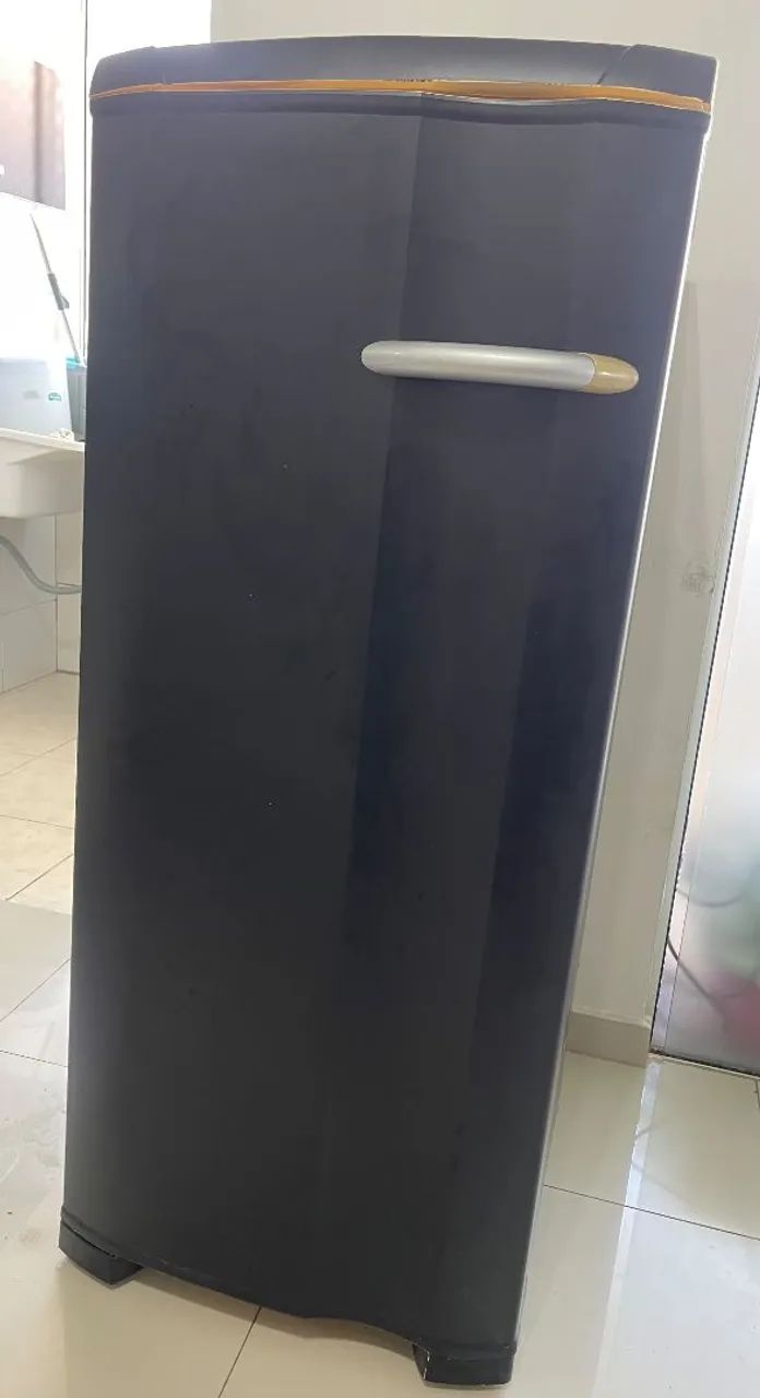 Freezer - PRA VENDER HOJE