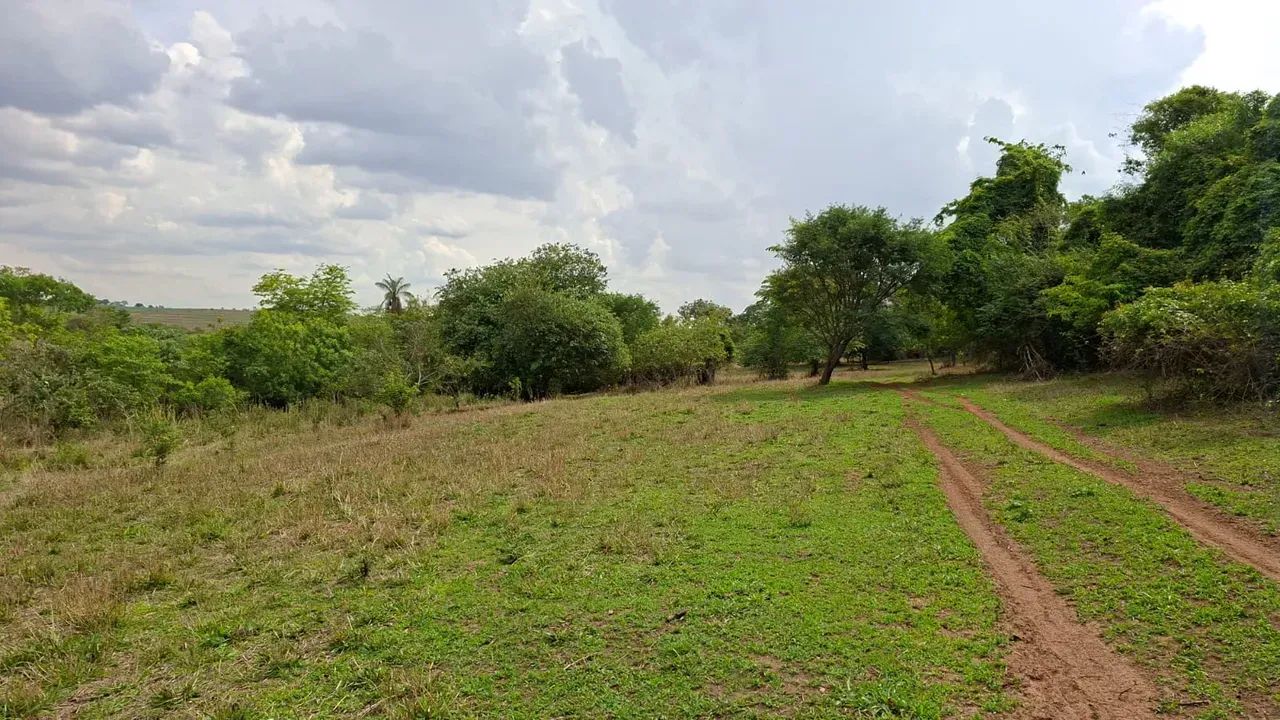 AREA RURAL DE GENERAL SALGADO    SÍTIO À VENDA  GENERAL SALGADO/SP - Foto 4