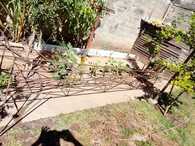 TORRE  - Foto 2