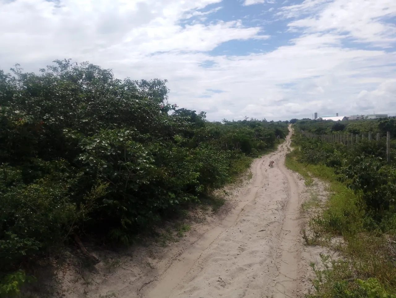 Terreno em barreirinhas Maranhão - Foto 2