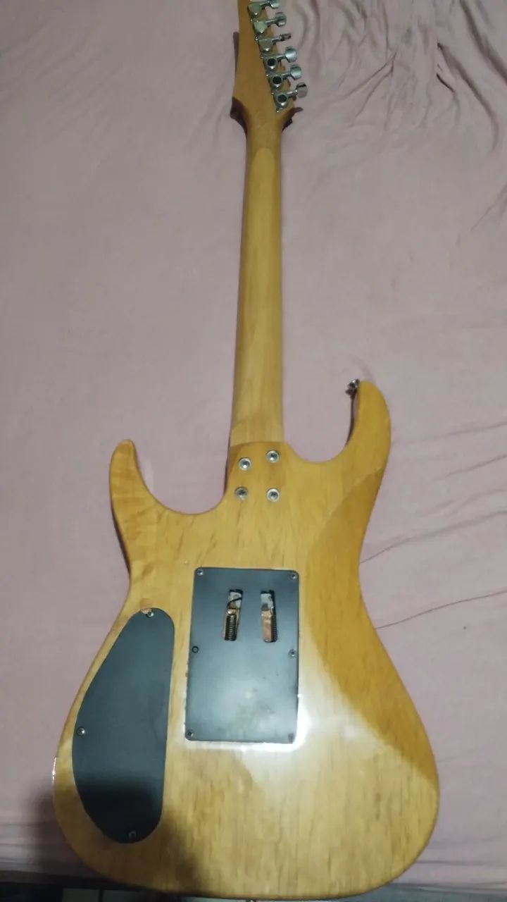 Guitarra Shelter  - Foto 3