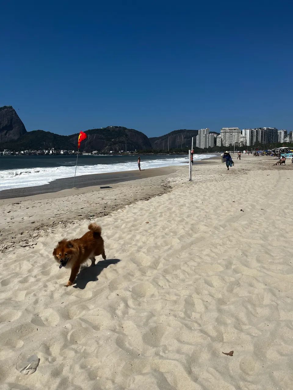 Doação  - Foto 2