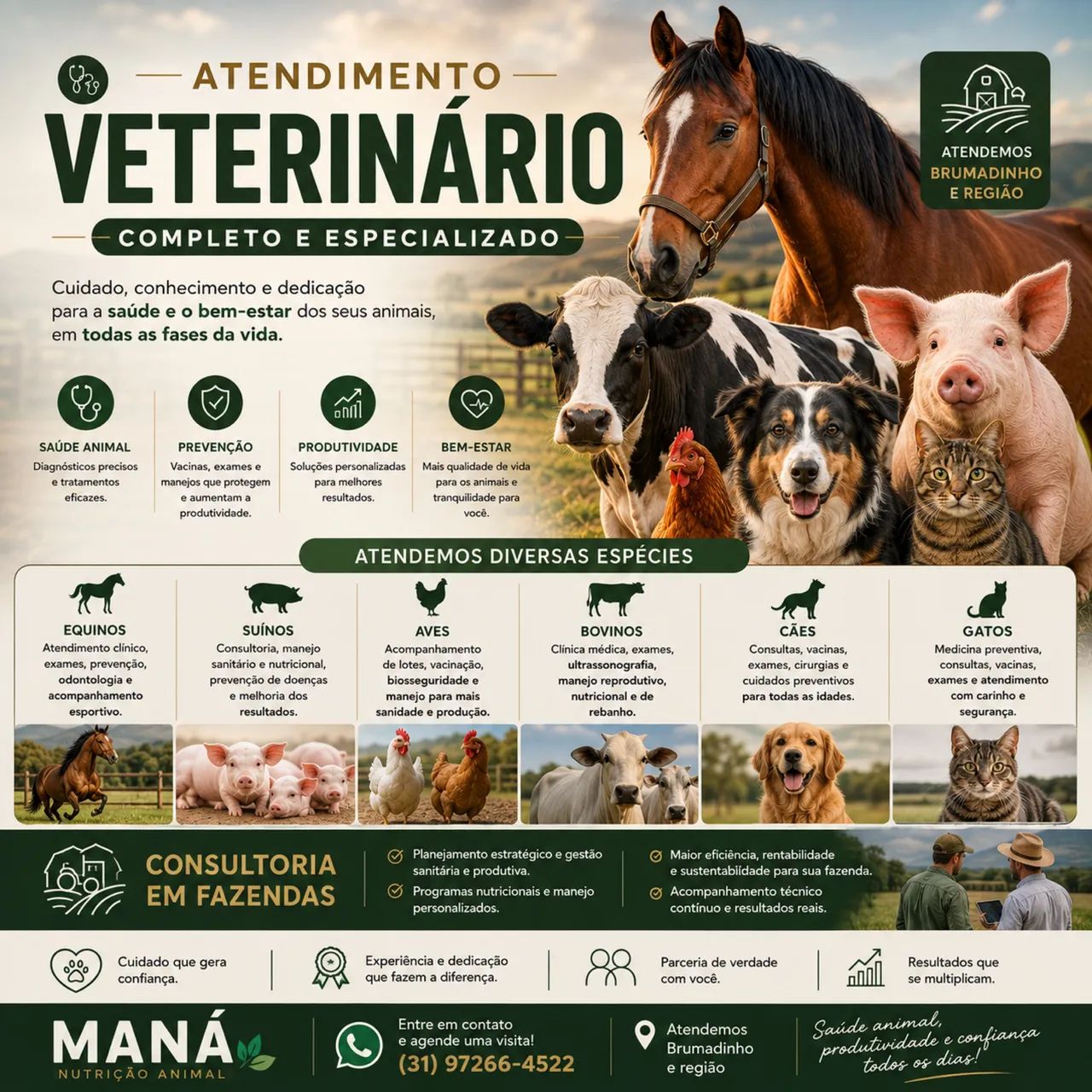 Serviço veterinário 