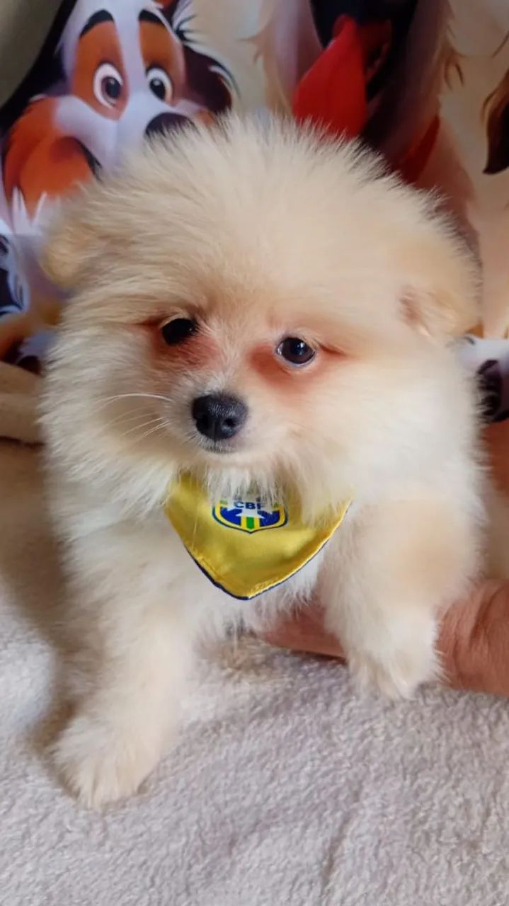 Que bebê lindo ?