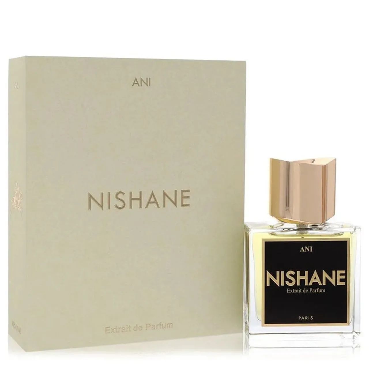 PERFUME NISHANE ANY 100ML Extrair