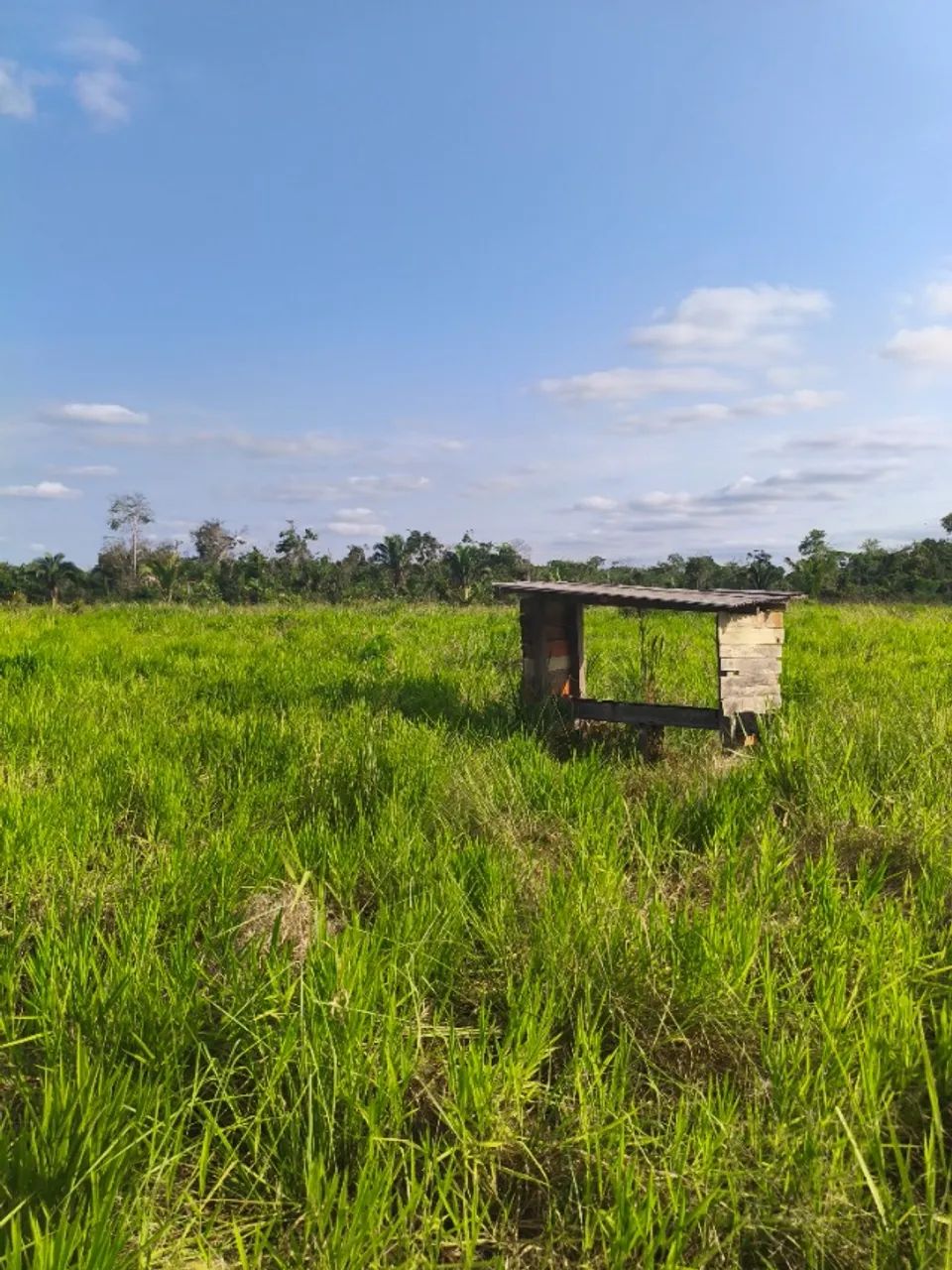 Colônia a 32 km da cidade - Foto 2