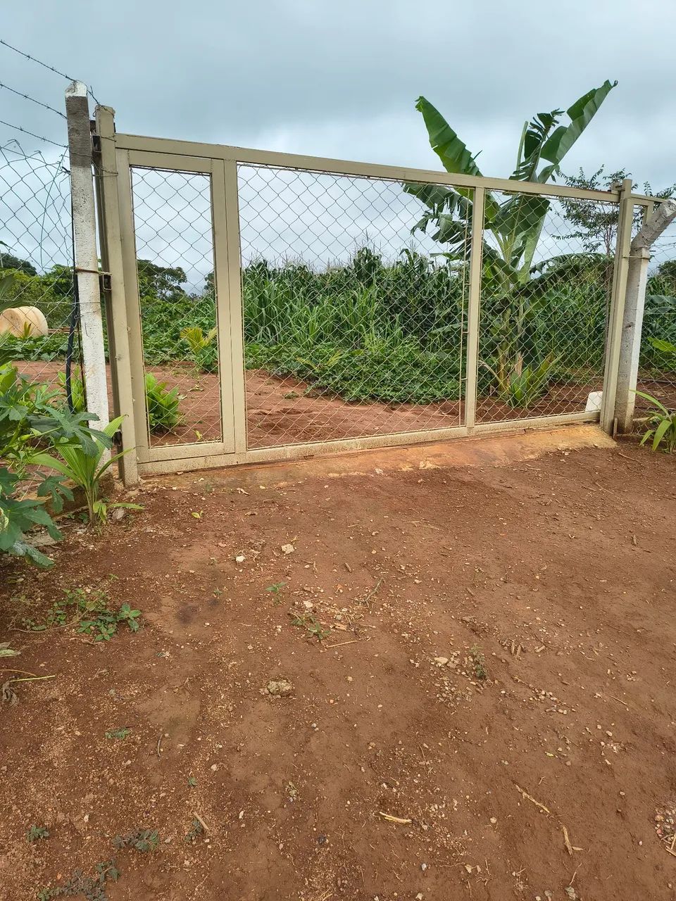 Foto - Goiânia - Setor Campinas
