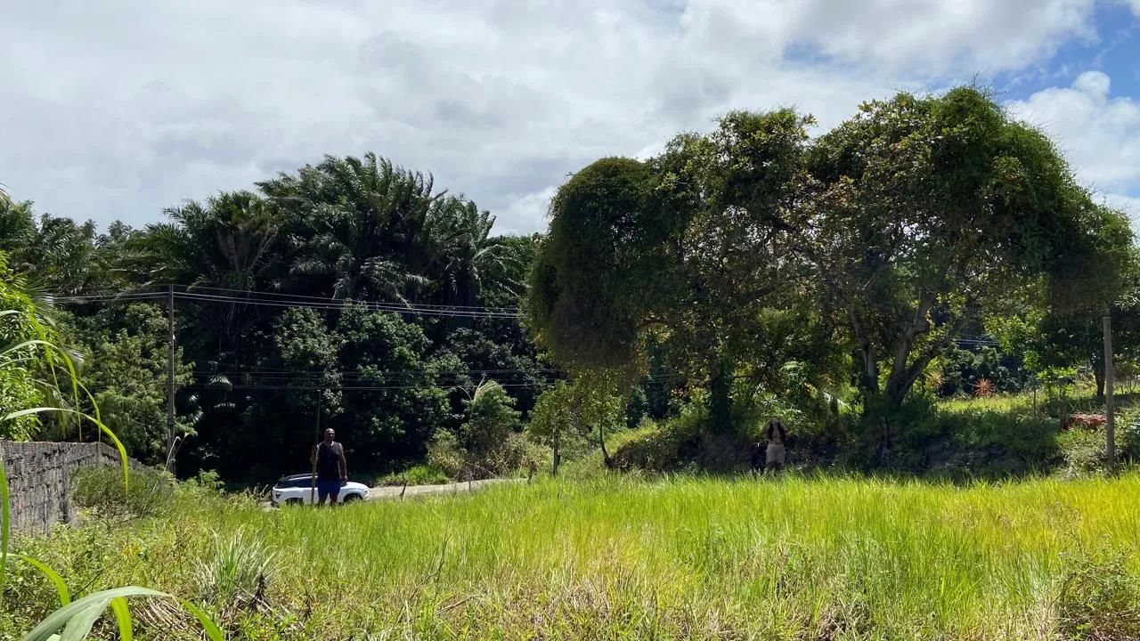 Excelente terreno em barra do Jacuípe  - Foto 4