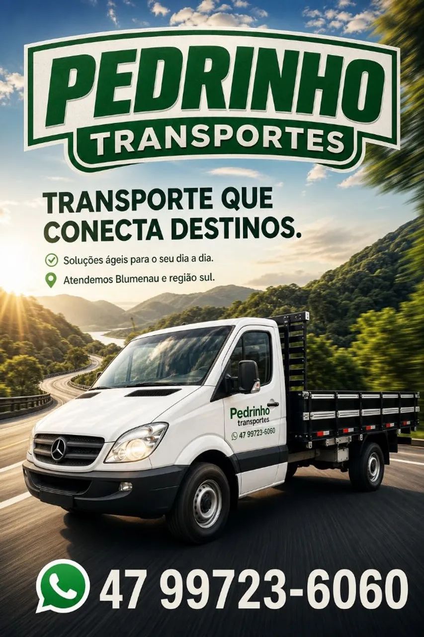 Pedrinho transportes 
