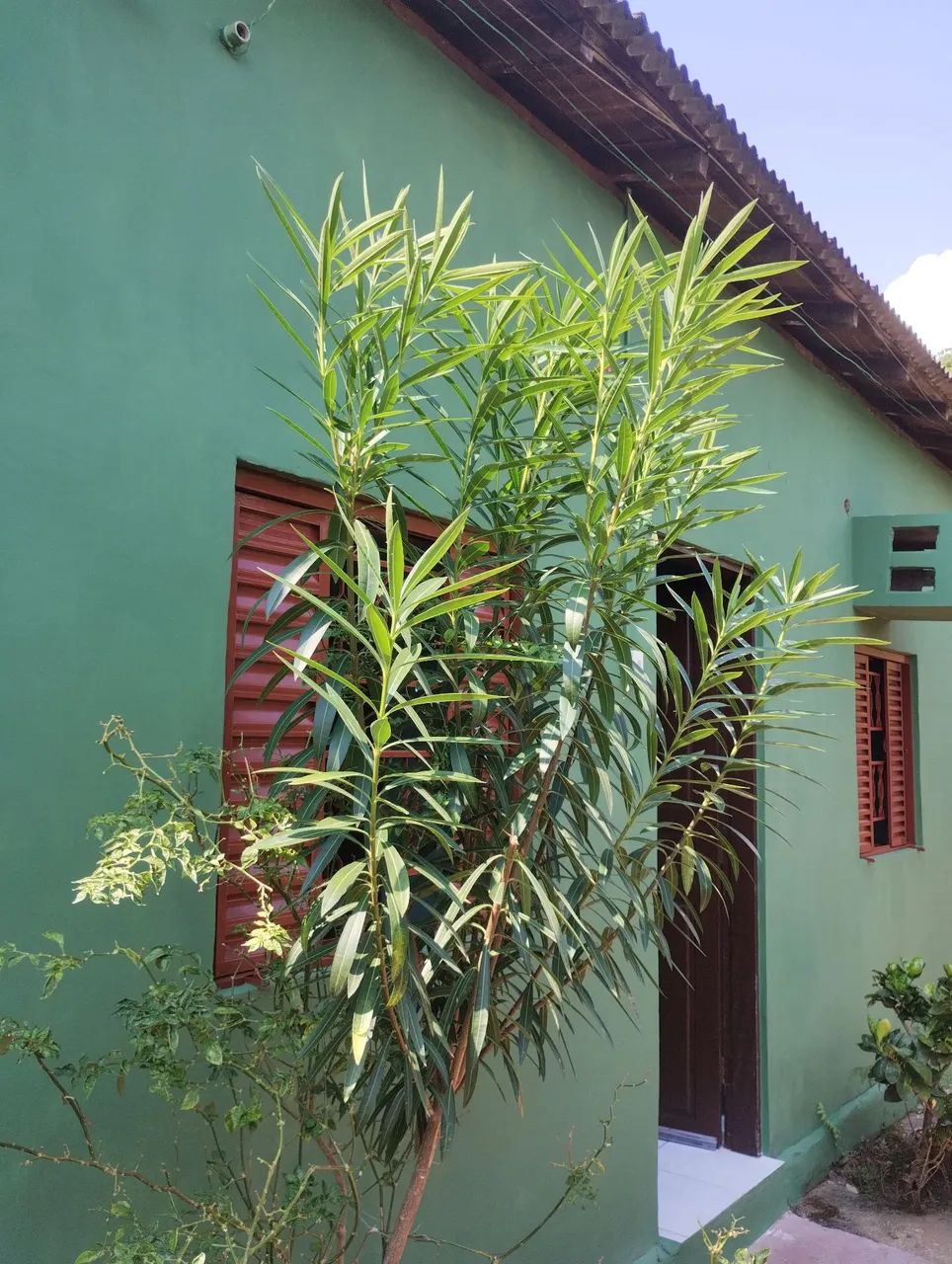 ALUGA-SE APARTAMENTOS. 