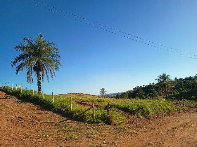 Foto - Santo Antônio De Posse - 