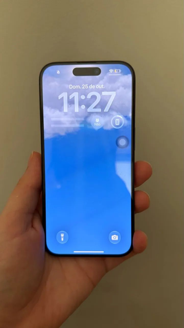 iPhone 15 Pro - 256gb usado