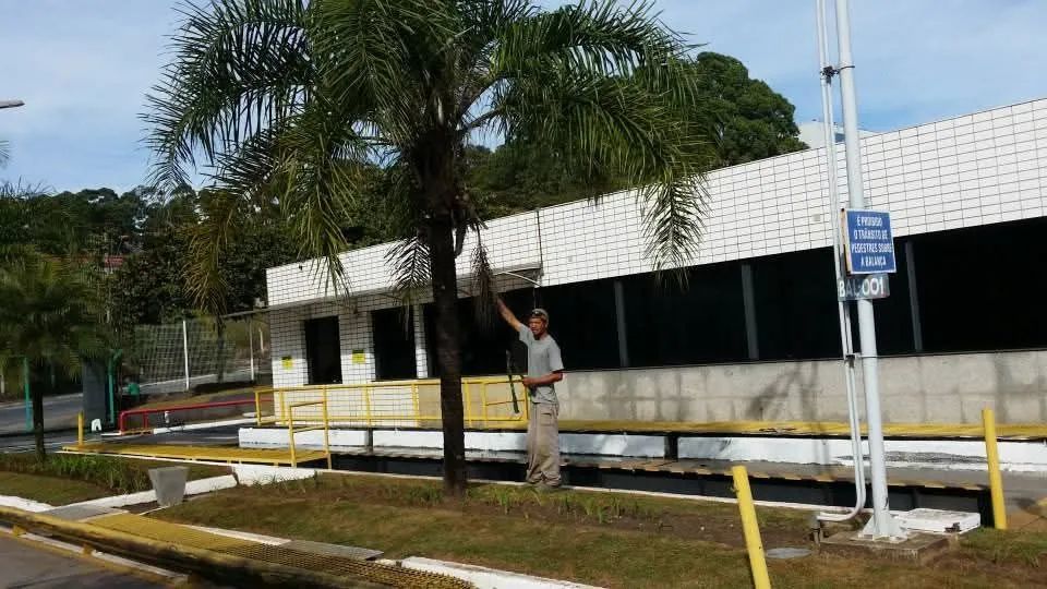 Jardinagem paisagismo e gramados - Foto 4