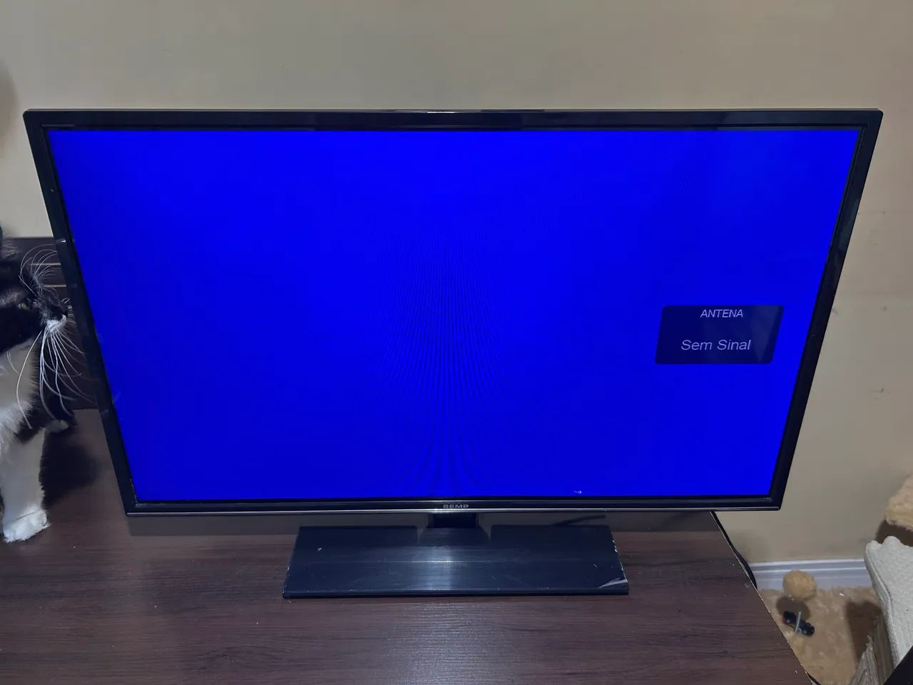 TV SEMP 32 POL