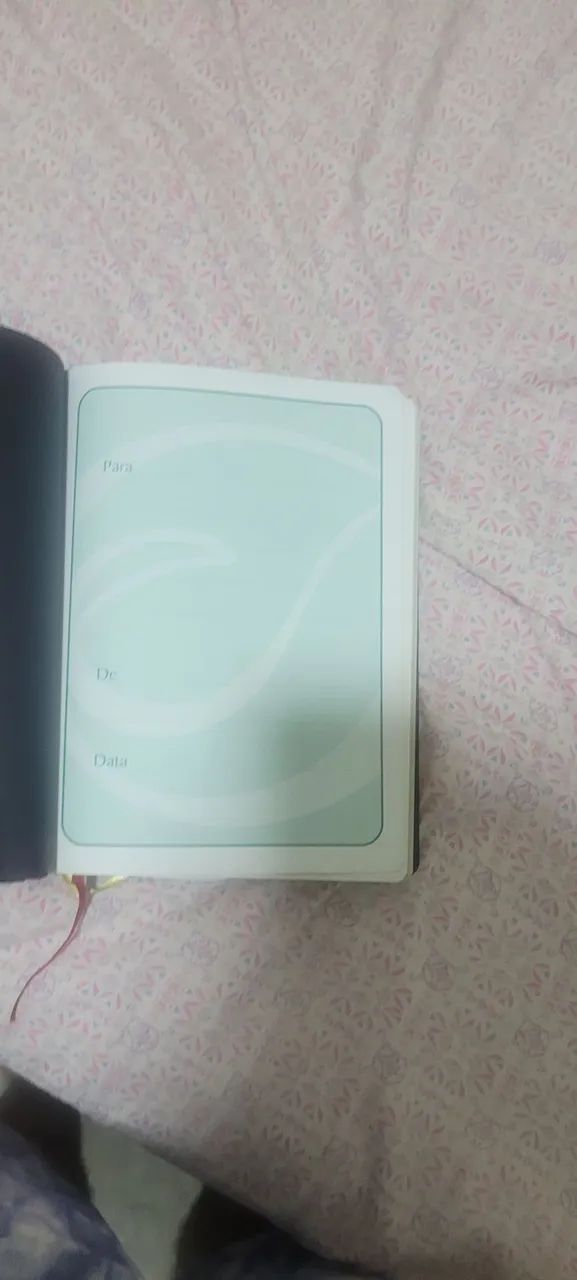 Biblia de estudos do pregador 