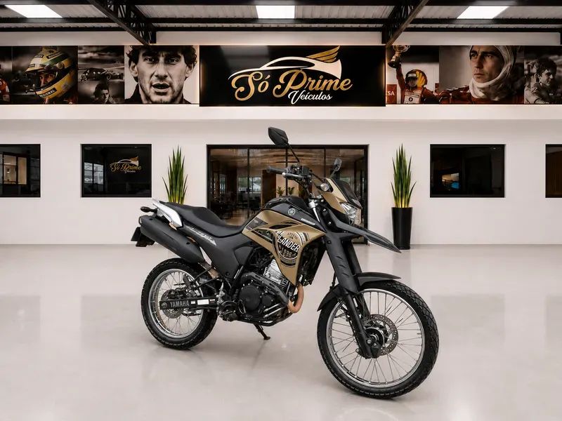 Yamaha XTZ Flex Manual - Foto 4